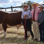 Injemira Robert Redford Q287’s $160,000 Australian Hereford record legacy | The Land