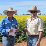 Brangus steers make $1460 at Woodford