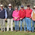 Warragundi attracts interstate and stud buyers