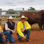 WALRC hosts Livestock Matters forum in Fremantle | Farm Weekly