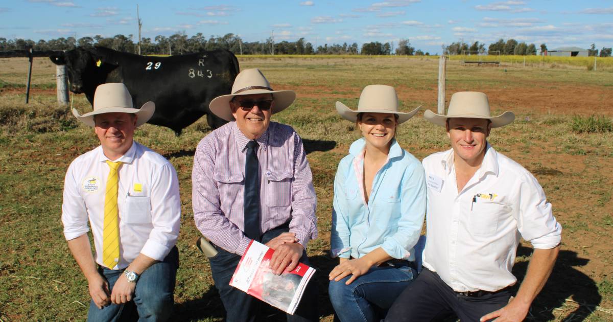 Sandon Glenoch Angus tops at $36,000