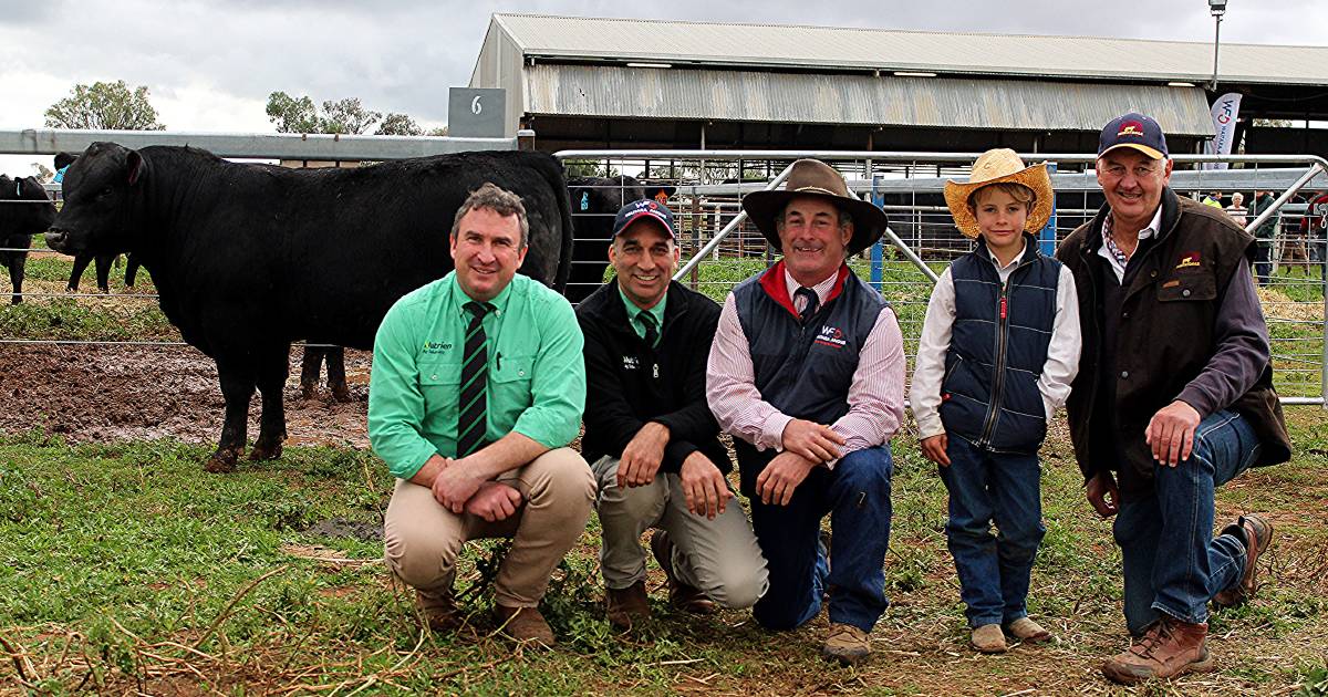 New blood helps Waitara smash record