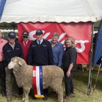 Booroomooka Angus makes a 'real impact' selling 241 bulls