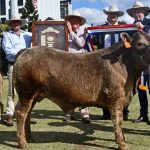 Goondiwindi council considering town name change request