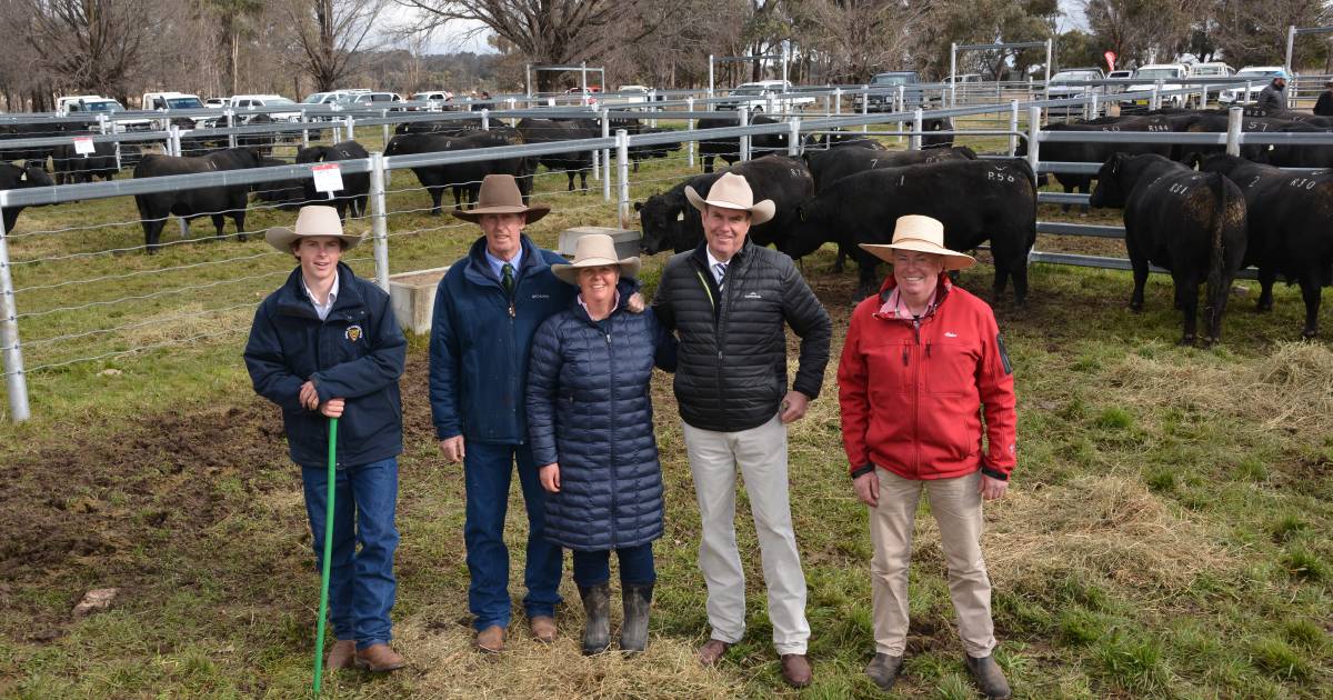 Eastern Plains Angus to $30,000 averages $20,588 | The Land