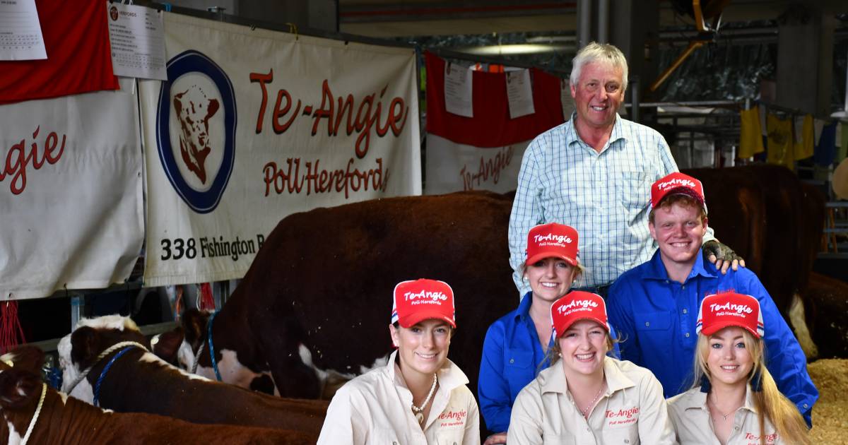 Biggest cattle exhibitor at this year's Ekka is giving youth a leg up