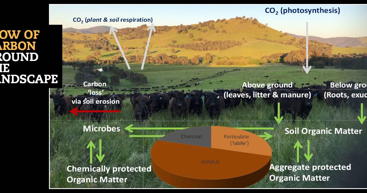 Understanding carbon flow in the landscape