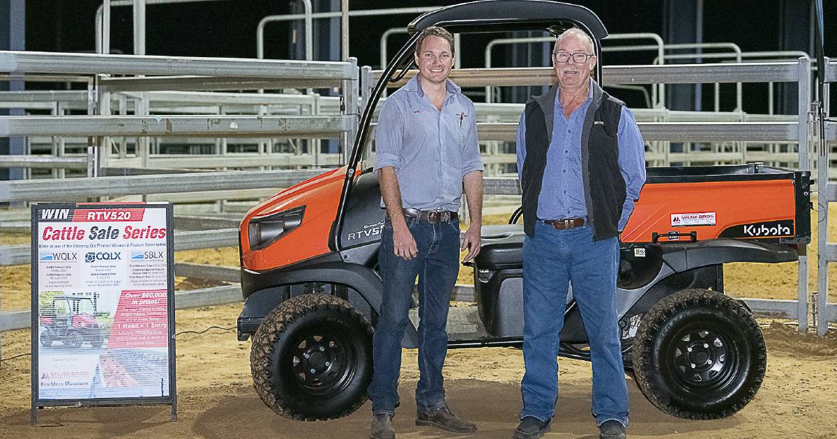 Livestock industry celebrates huge selling season at CQLX | Photos