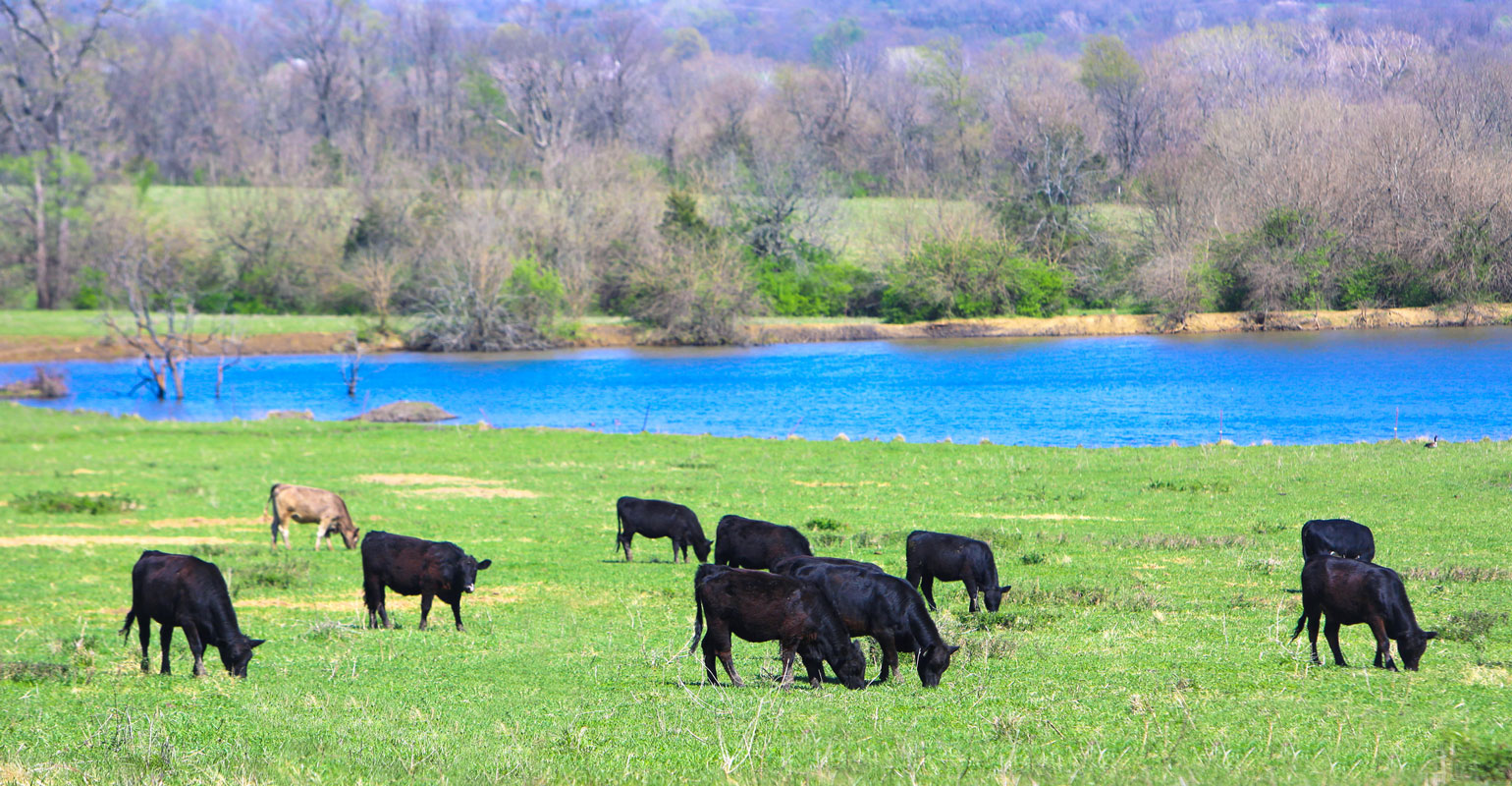 Kansas Ag Summit: Beef sector discusses packing capacity