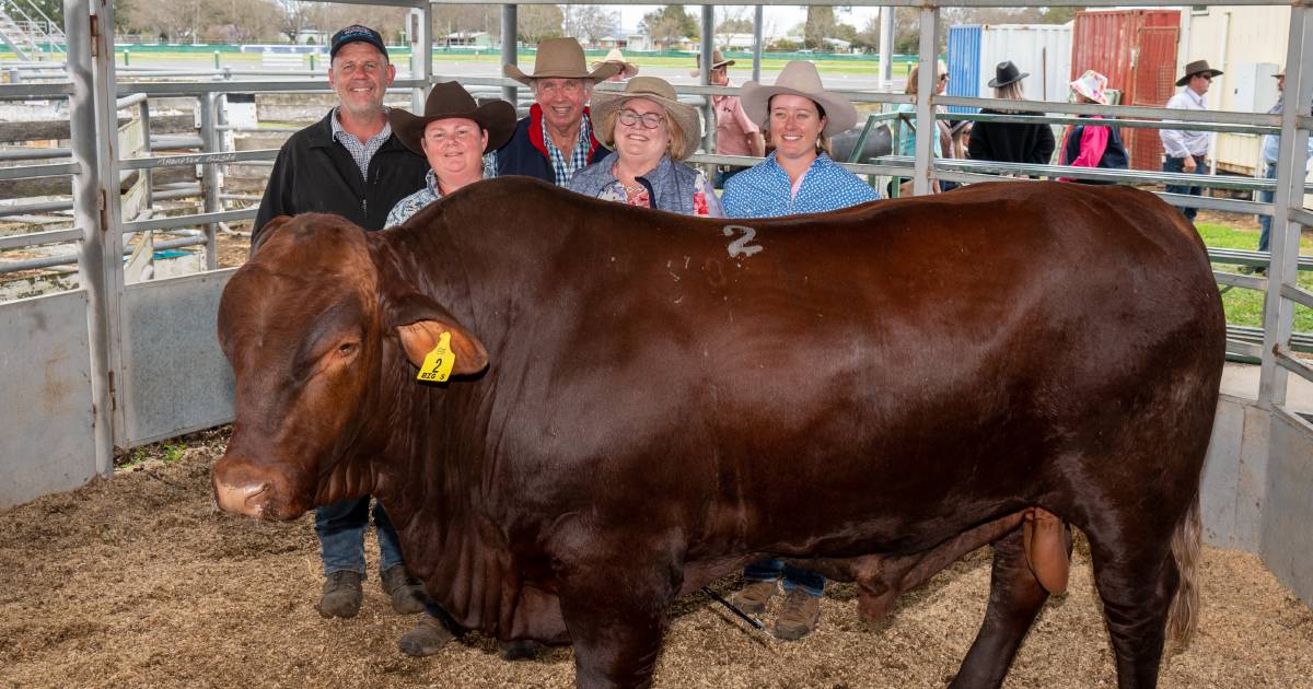 Buyer nabs one-third of Big S sale catalogue