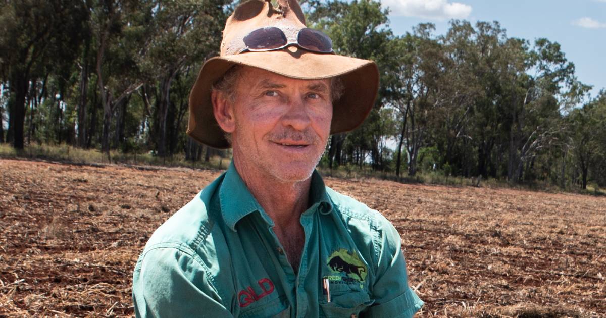 'Extraordinary' peanut harvest eases the pressure