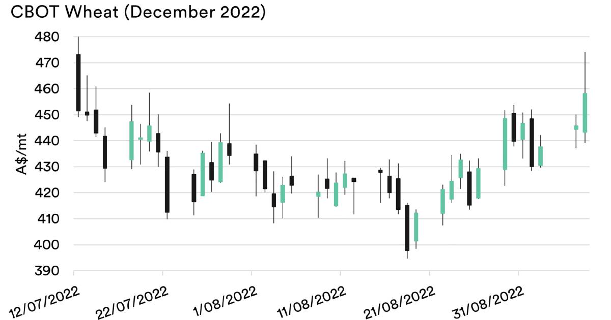 Putin fire under wheat again