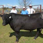 How to get the most out of your new sire