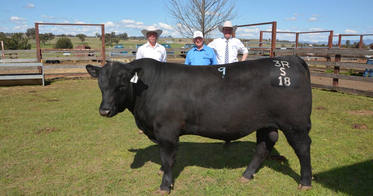 3R Angus's inaugural sale steps up