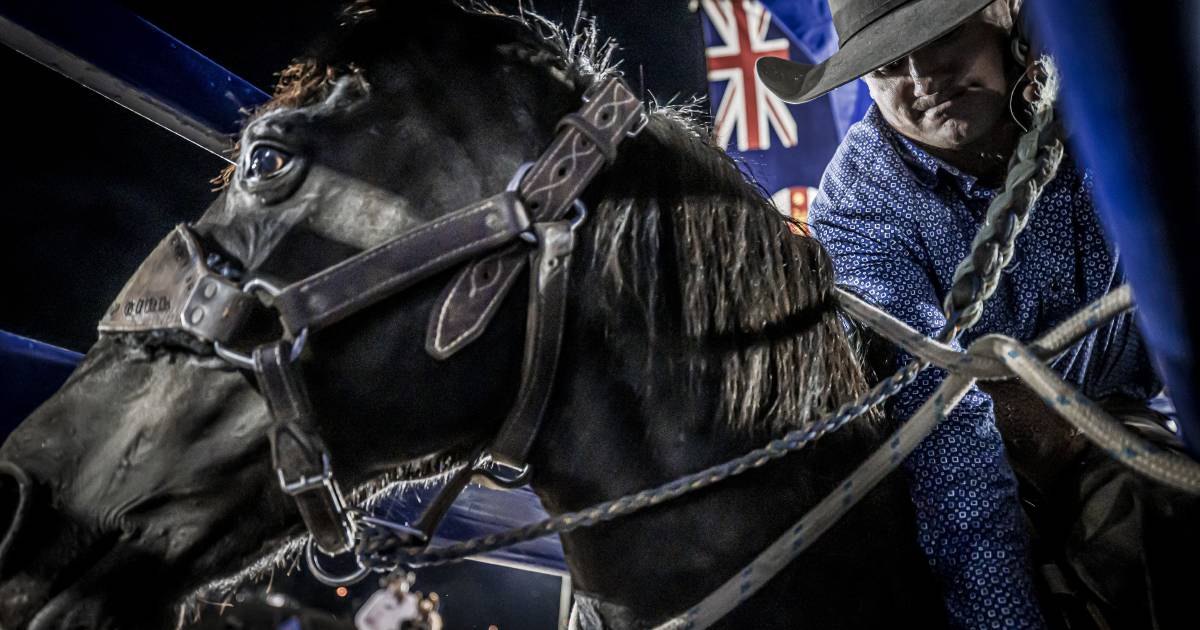 More competitors, more recognition for rodeo | Queensland Country Life