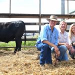 Weebollabolla sets new on-property record at 55th annual bull sale | The Land