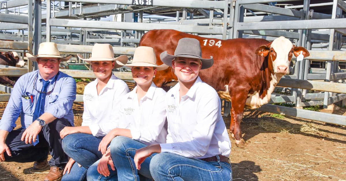 PTIC heifer to US sire on top at National Braford sale