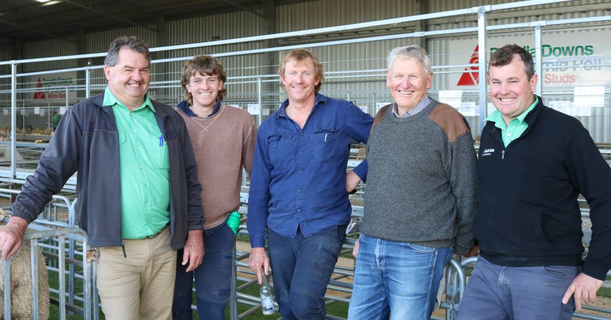 Poll Merinos in hot demand in Esperance