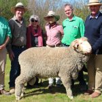 New $265,0000 Charolais bull record more than doubles previous mark