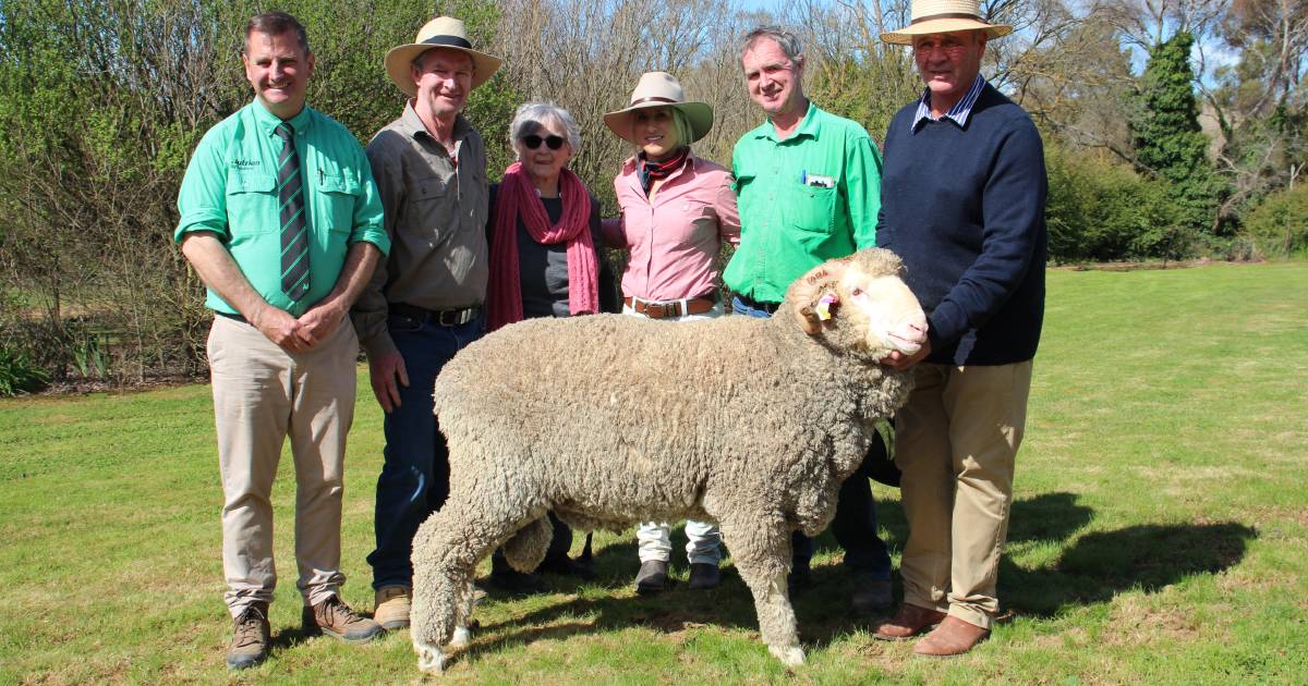 Pleasing result for Tara Park Merino stud