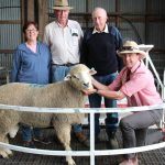 Twynam Angus bulls and female average $6096