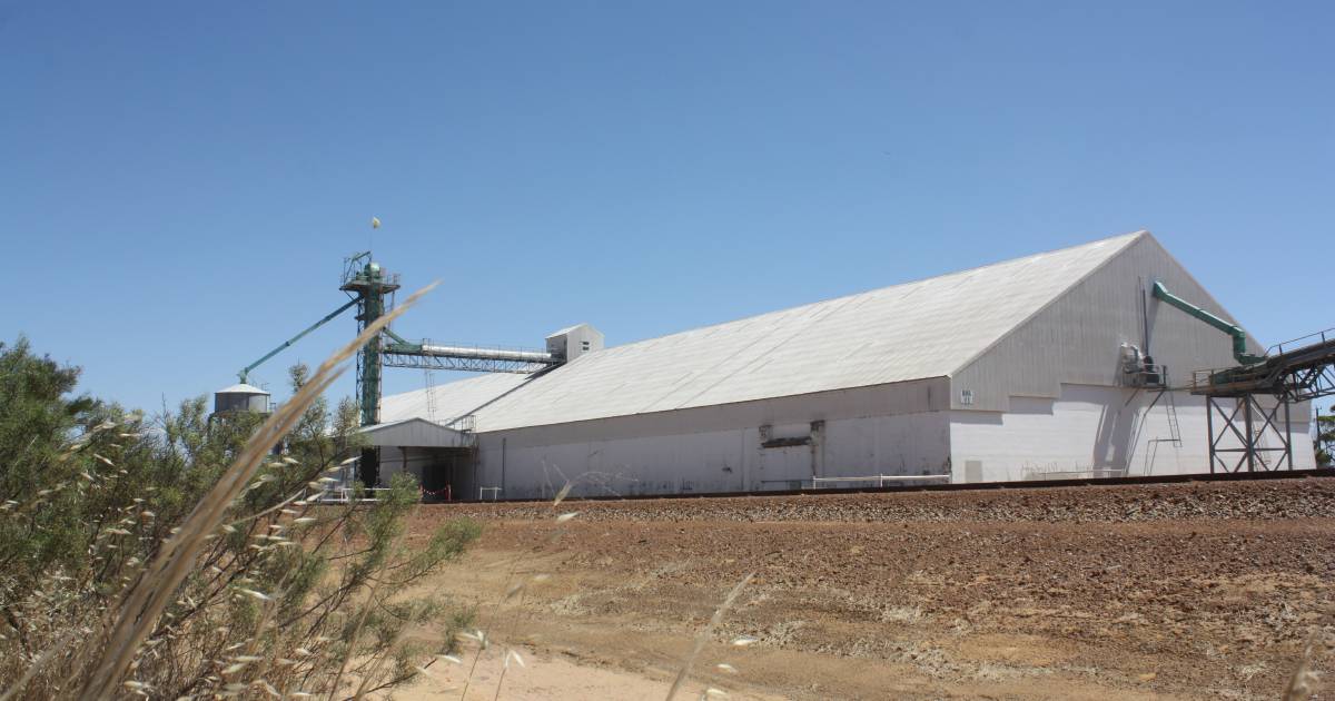 More bins and storage for big harvest