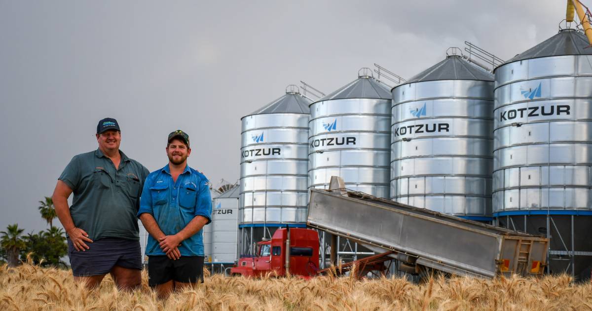 Central Queensland growers grapple with lack of grain storage due to bumper crop