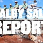 Cattle producer groups declare positions ahead of Cattle Australia vote