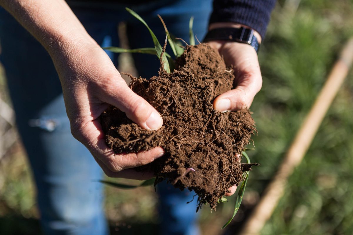 Renaming regenerative agriculture could open doors