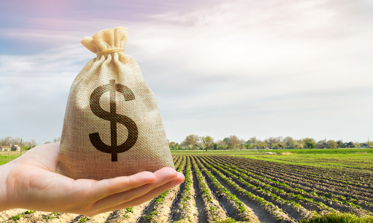 Off-farm income essential for ag economy