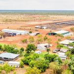 PTIC Droughtmaster heifers hit $2700 at Beaudesert | Queensland Country Life