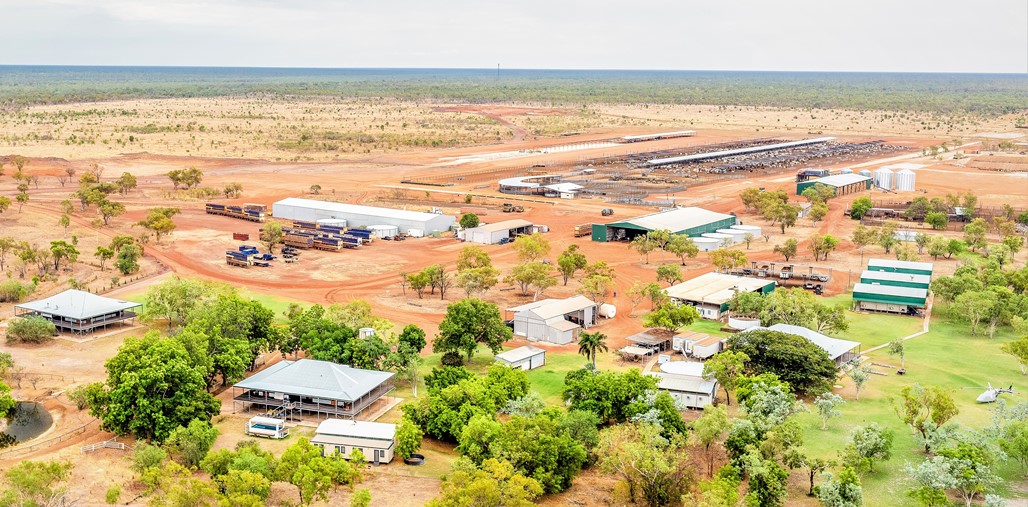 NT’s Maryfield and Limbunya make $175m, with carbon a factor