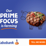 Strike Energy announces $6m Rabobank support | Farm Weekly