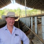 Hughenden producer restocks after stellar season