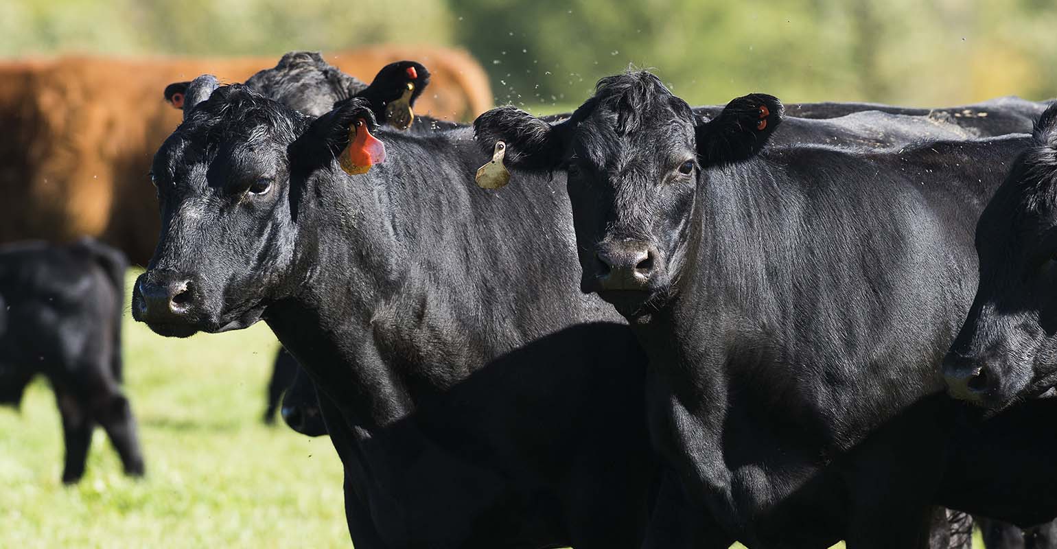 Farm Progress America, September 27, 2022