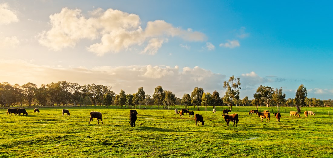 Paraway receives $75 million for methane reduction