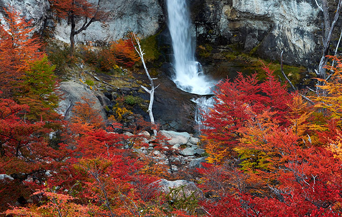 Why do leaves change colour in Autumn?