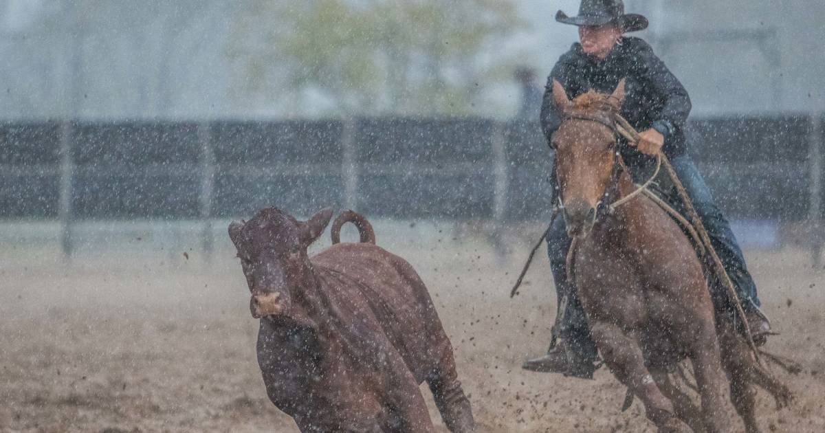 Bollon, Richmond and Alpha campdrafts among those to continue on through rain | Queensland Country Life