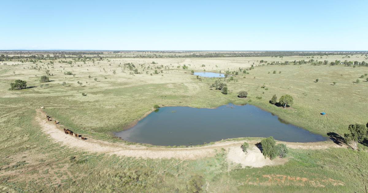 Emerald Farms sold at auction | Video