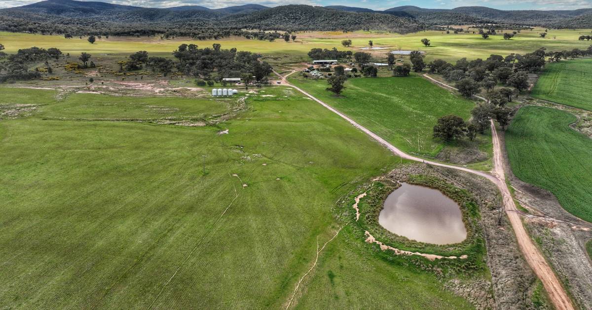 Quality Central West cropping and livestock options