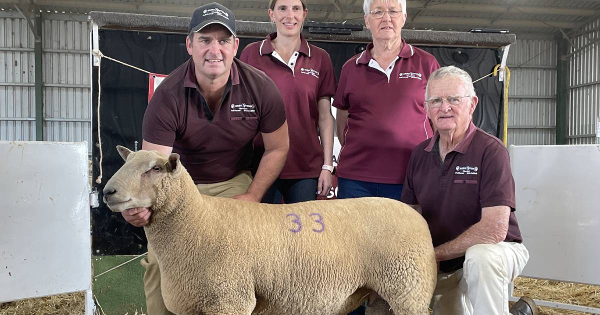 Australian Charollais record broken at Rene