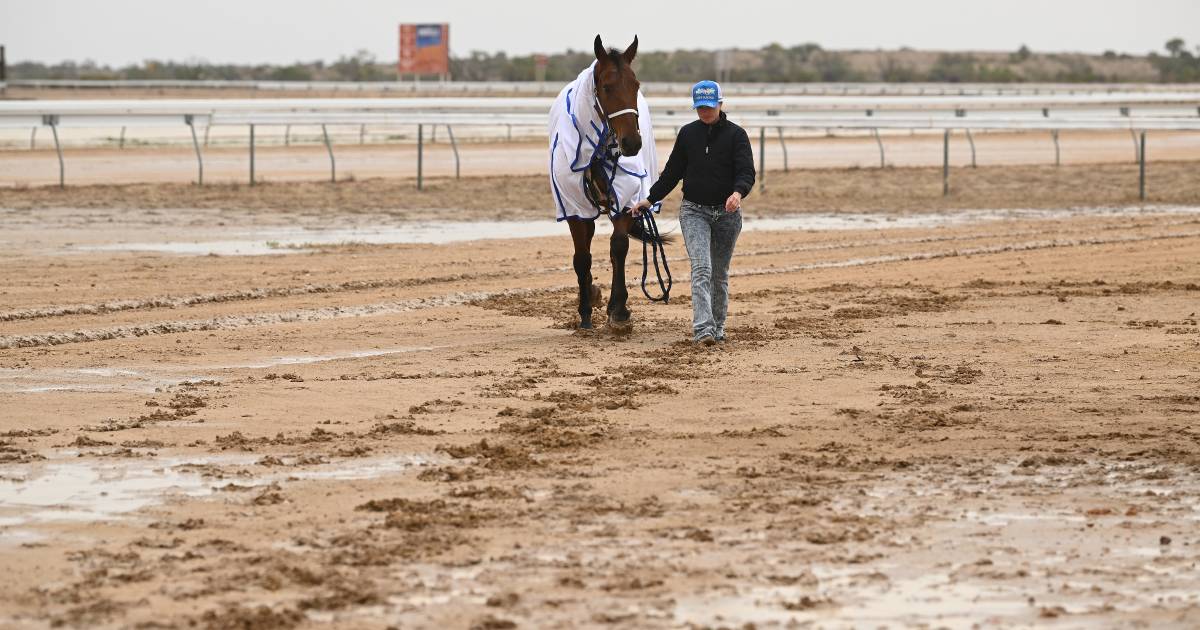 Day 2 of Birdsville Races to go ahead