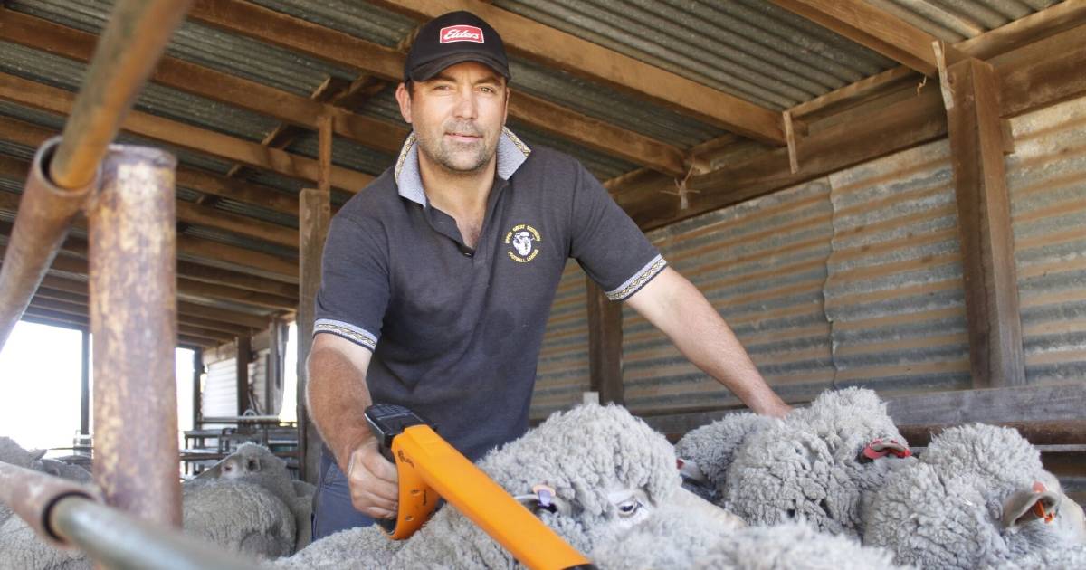 Wagin farmer aims high with percentages