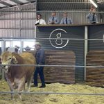 Hopes fade for wheat growers in Argentina as winter drought rolls into third La Nina | The Land