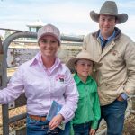 Online listings lift 35pc, as most young steer and heifer prices trend higher