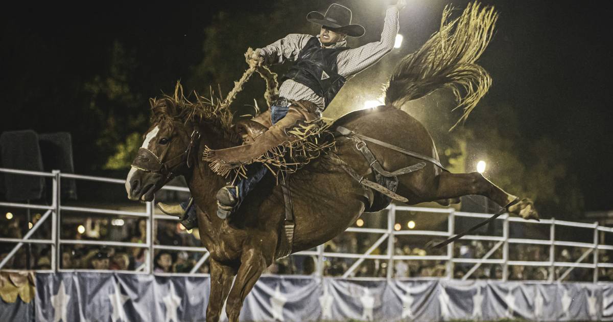 Rodeo guns set for finals