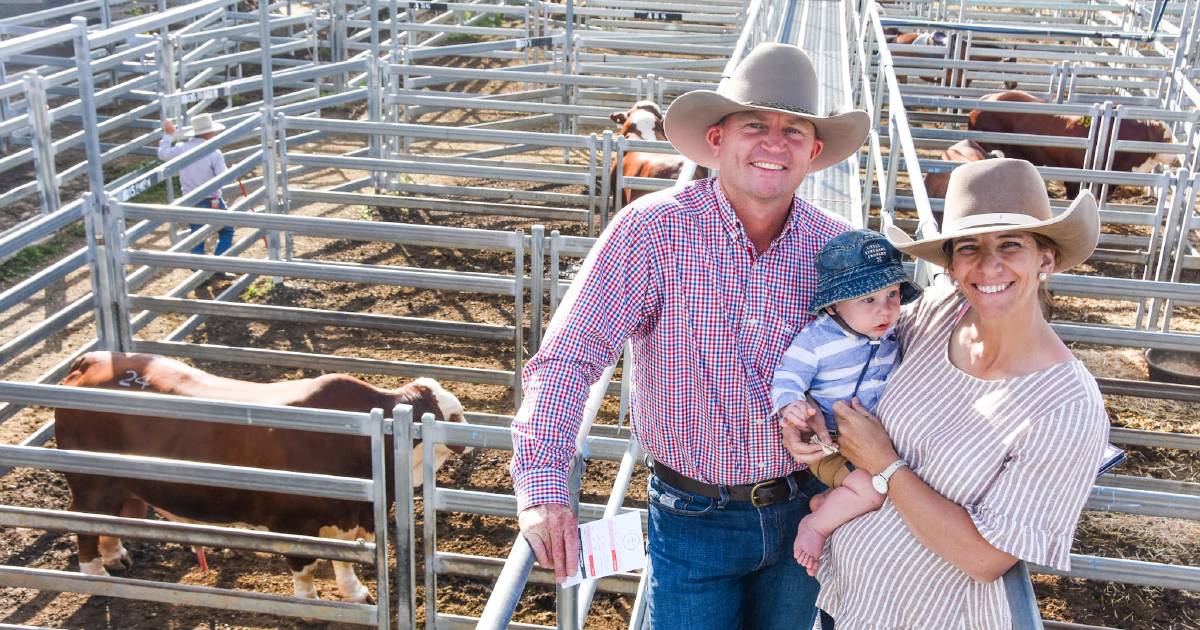 Richmond graziers largest buyers at National Braford sale