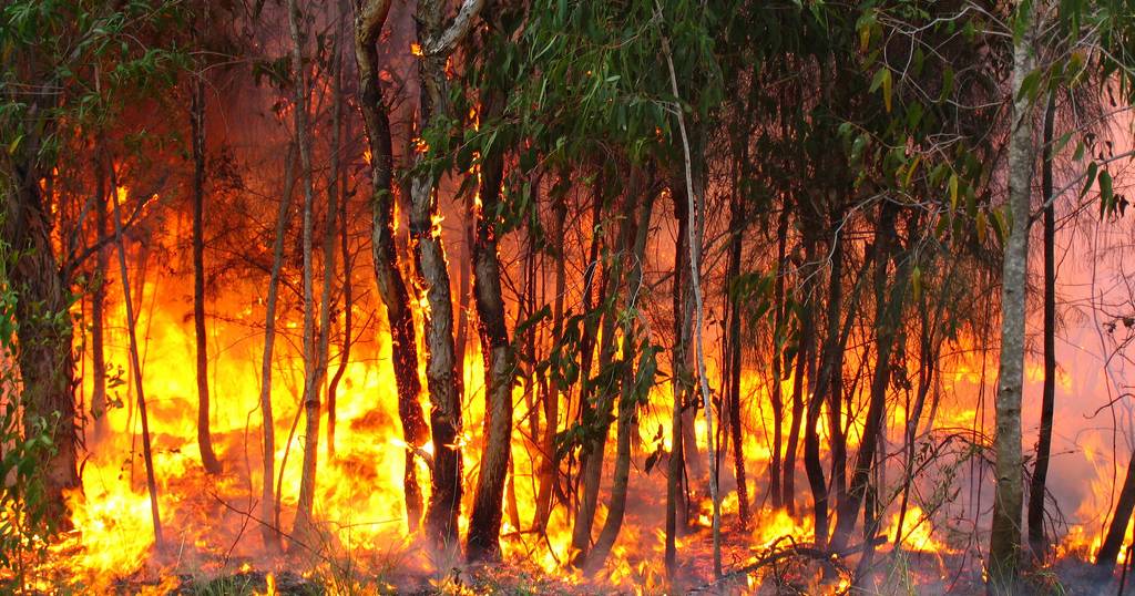 Bushfire Volunteer Advisory Committee vacancies | Farm Weekly