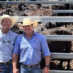 Strong prices seen at Malanda and Innisfail store sales