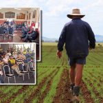 Winton's shearing history unveiled at Outback Festival